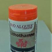 Lithothamne 1